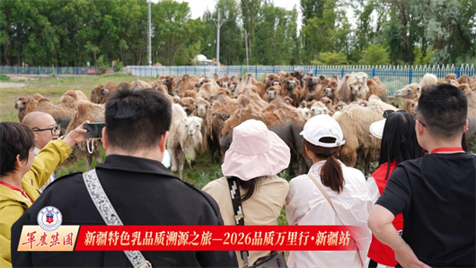 1782113831518529.png 图片2.png
