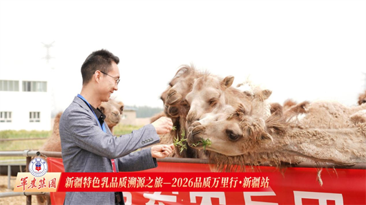 1782113833435873.png 图片3.png